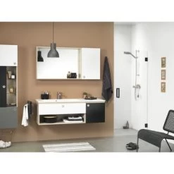 Sealskin Swingdeur Voor Nis I AM 80x200 Cm Zwart