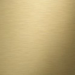 Tiger Tune Toiletborstelhouder Geborsteld Messing/mat Zwart -Badkamer Winkel 123 1975