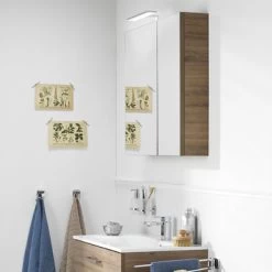 TIGER S-line Spiegelkast 80 Chalet Eik -Badkamer Winkel 123 213