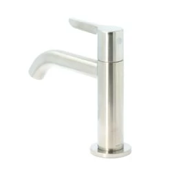 Atlantic Fonteinkraan Riley Met Hendel RVS -Badkamer Winkel 123 2988