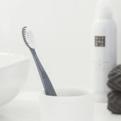 Sealskin Tandenborstelhouder Glossy Zilver -Badkamer Winkel 123 817